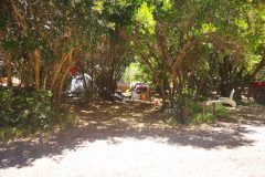 IMG_20201129_134924-scaled