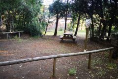 IMG_20201129_200301-scaled