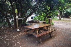 IMG_20201129_200305-scaled