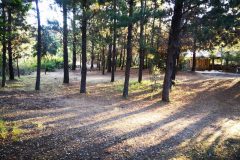 IMG_20201129_200320-scaled