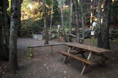 IMG_20201129_200413-scaled